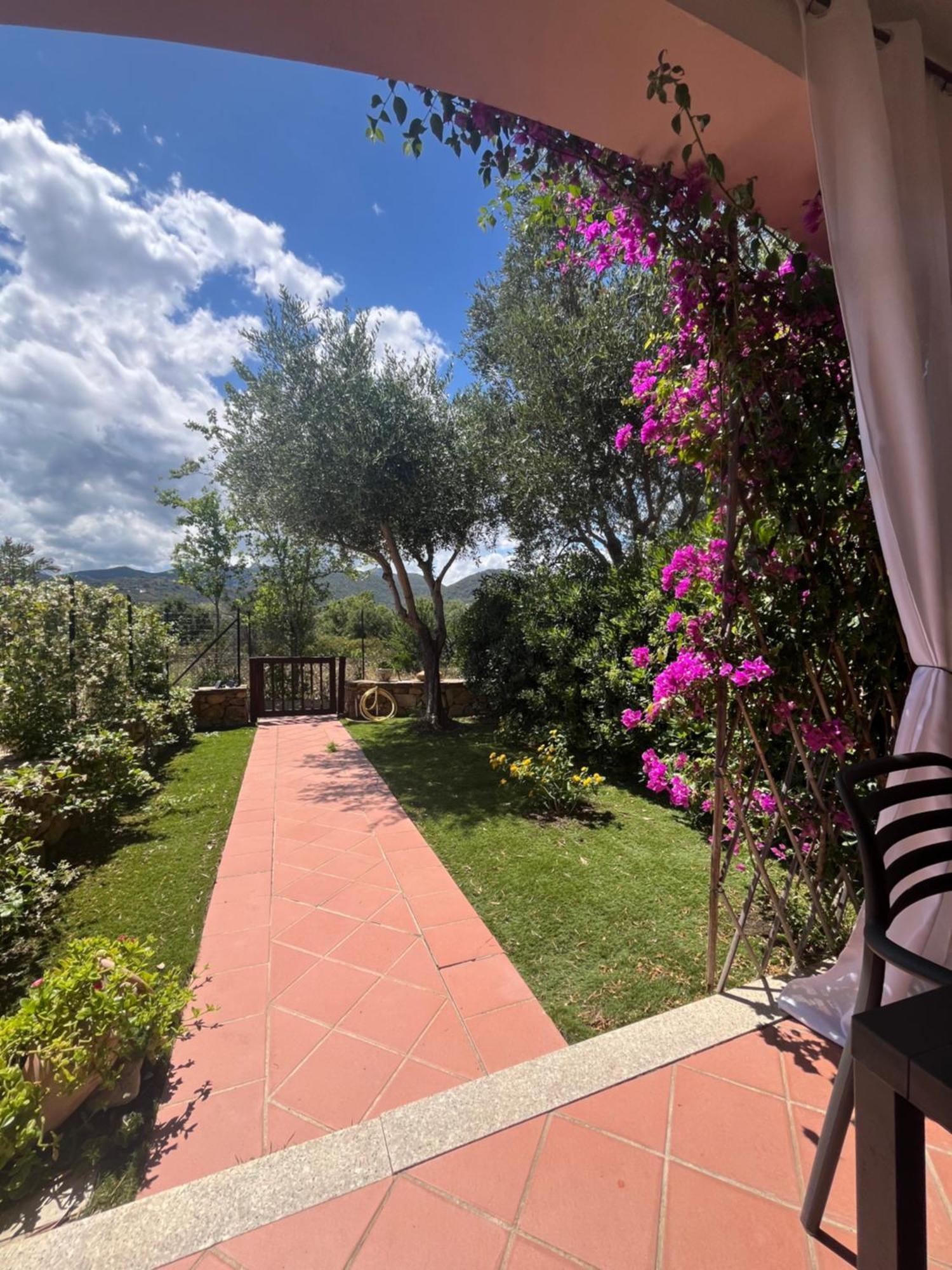The Villa - San Teodoro Сан-Теодоро Экстерьер фото